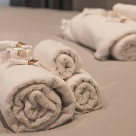 公寓 Ospedale Maggiore Vidali Elegant *netflix* *